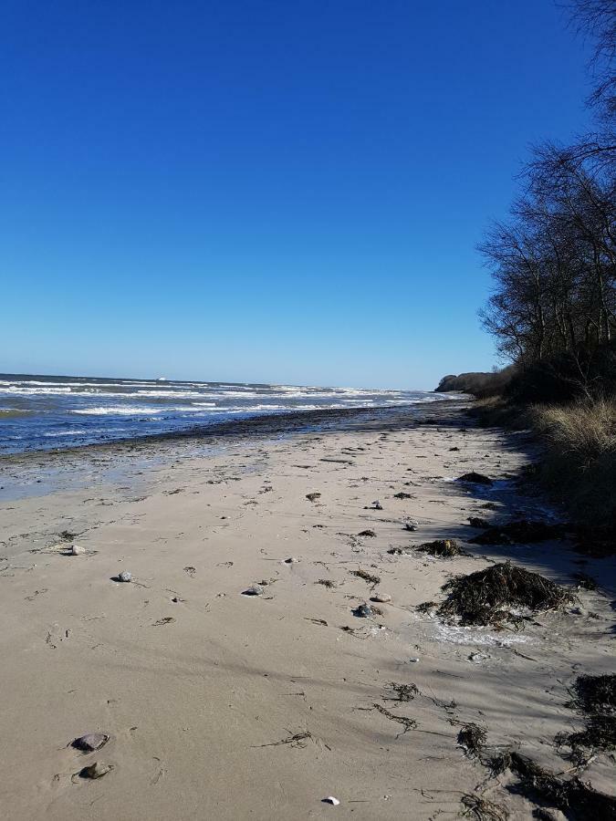 Seesternchen Groß Schwansee Kültér fotó
