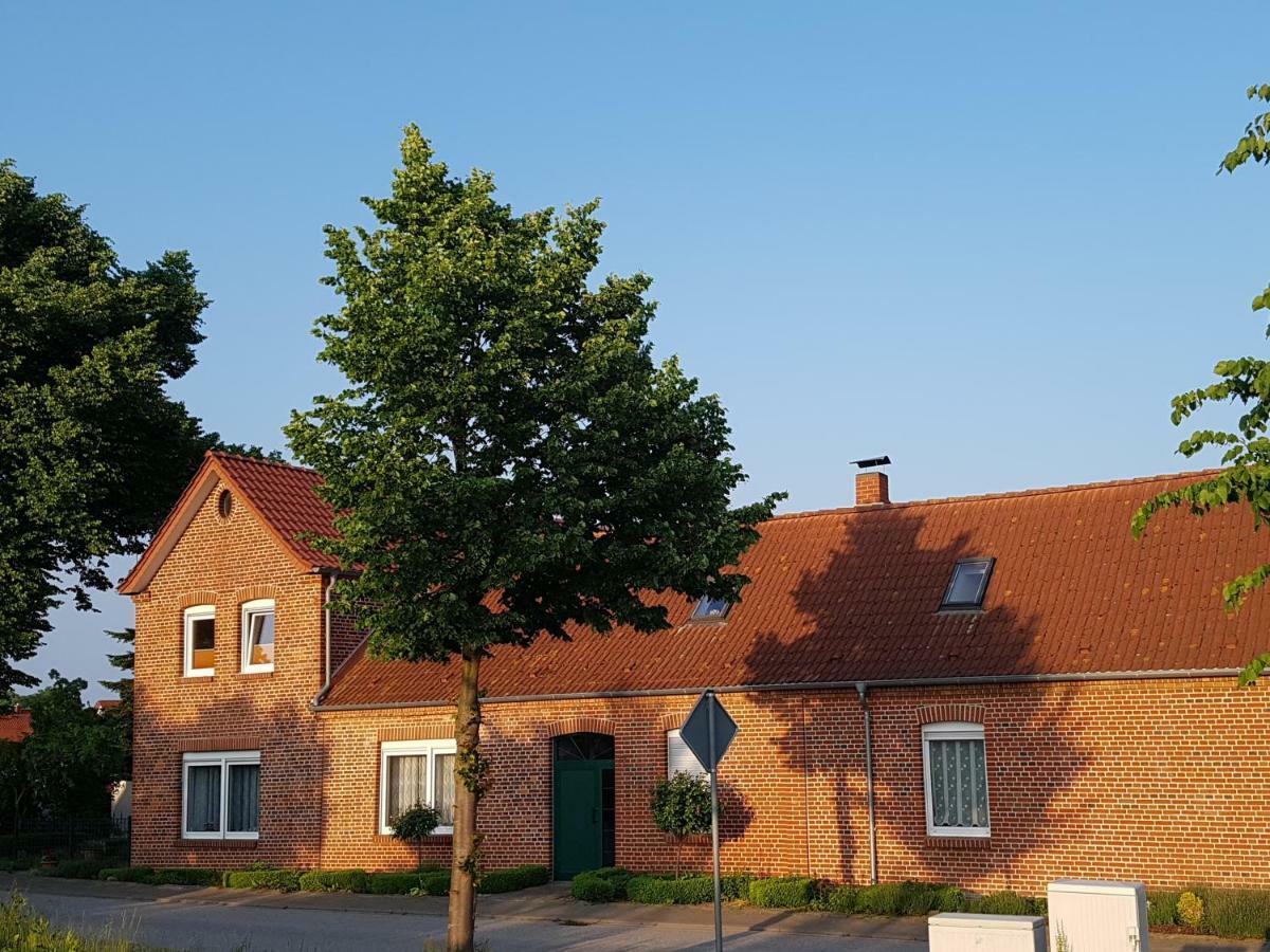 Seesternchen Groß Schwansee Kültér fotó