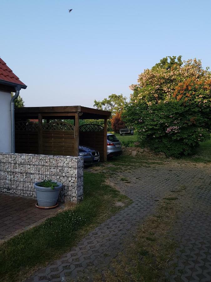 Seesternchen Groß Schwansee Kültér fotó